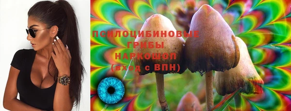 Альфа ПВП Алзамай